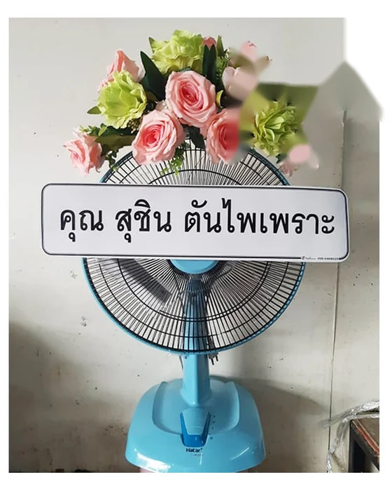 ช่อกุหลาบชมพูอ่อนสลับดอกสีเขียวอ่อนวางบนหัวพัดลมสีฟ้า มีป้ายชื่อคาดกลางตะแกรง